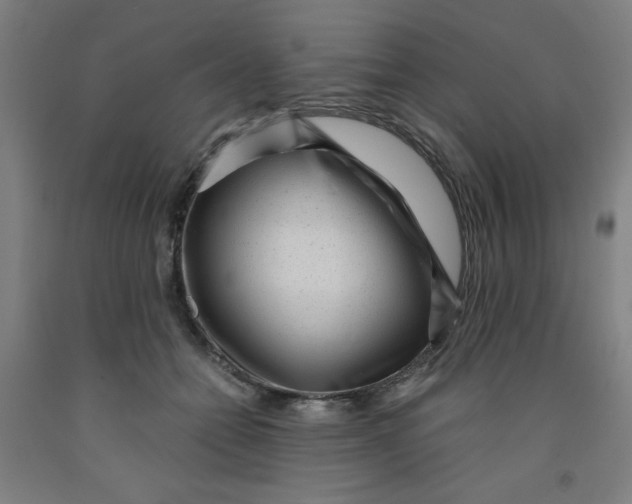 X0000091880558200709261353