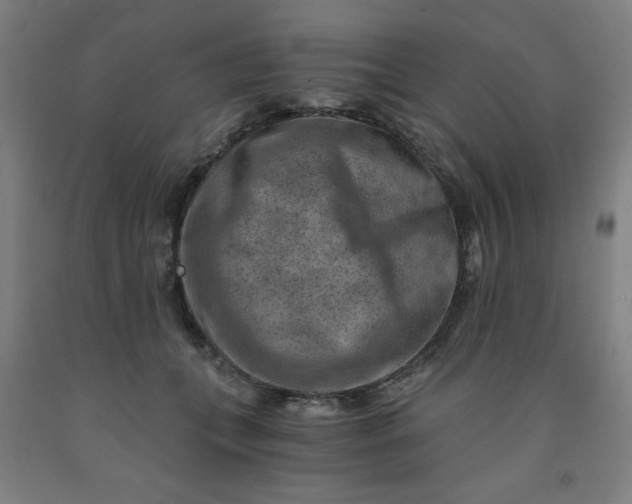 X0000091880559200709261353