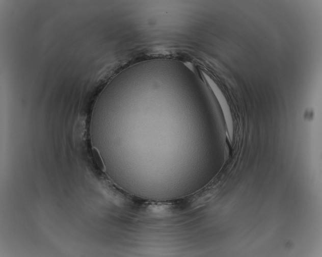 X0000091880560200709261353