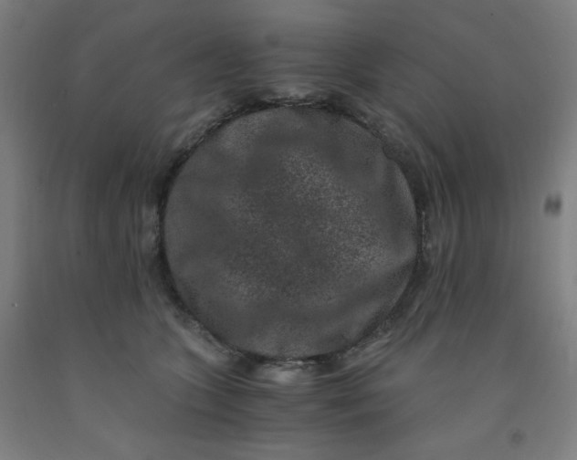 X0000091880563200709261353