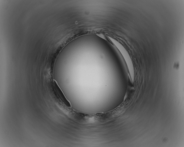 X0000091880564200709261353