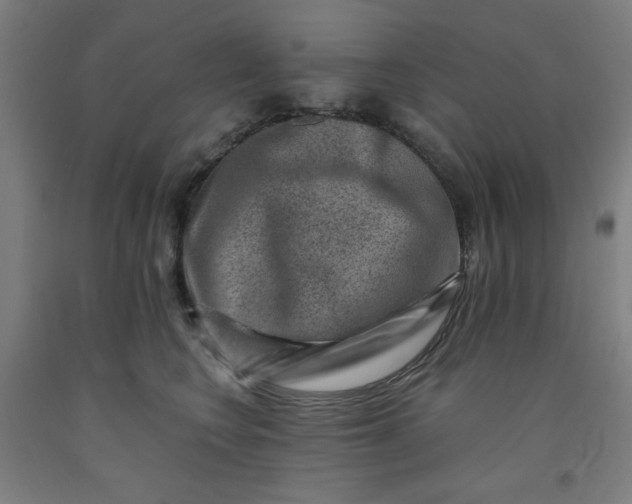 X0000091880566200709261353