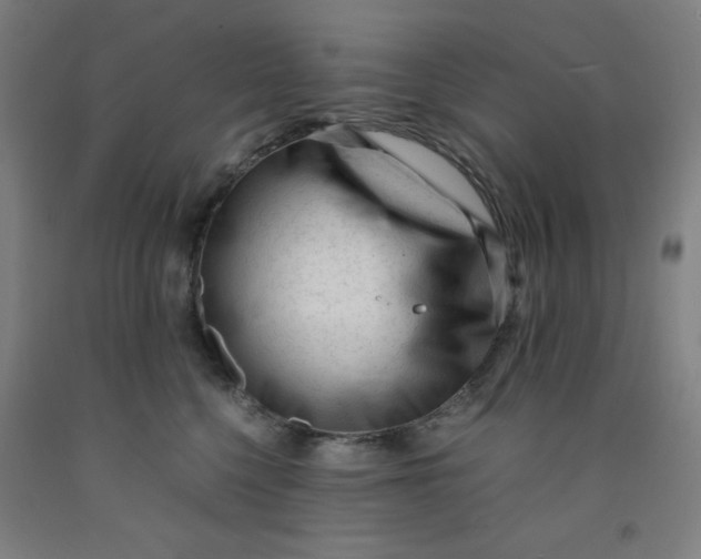 X0000091880568200709261353