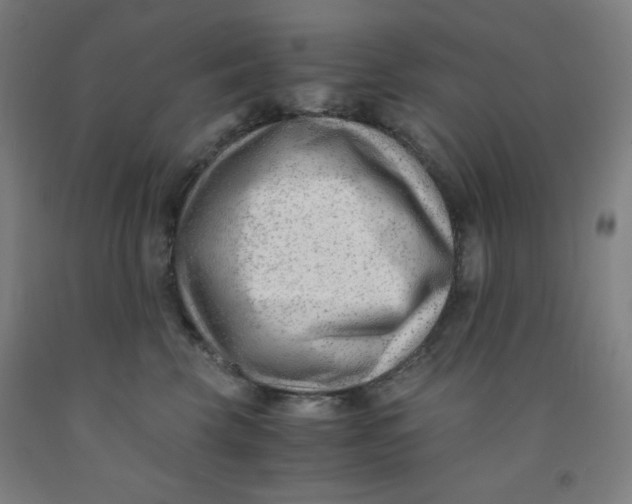 X0000091880569200709261353