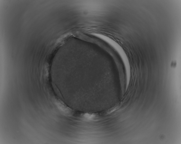 X0000091880570200709261353