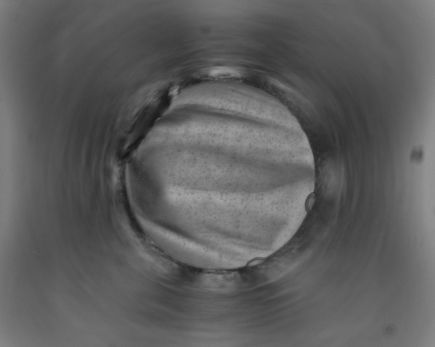 X0000091880571200709261353