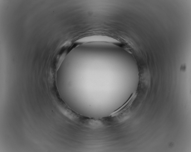 X0000091880572200709261353