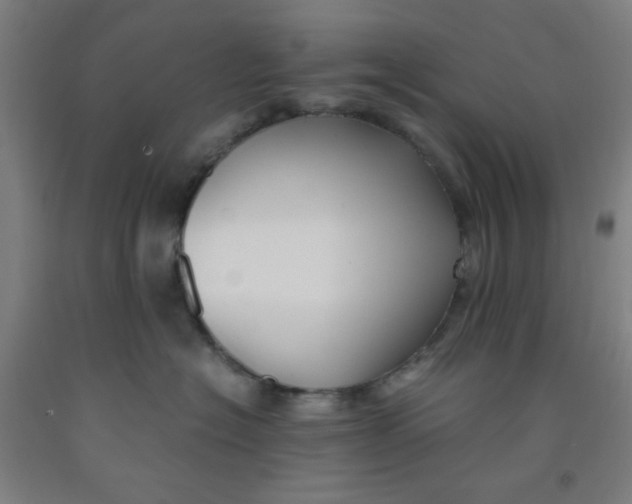 X0000091880574200709261354