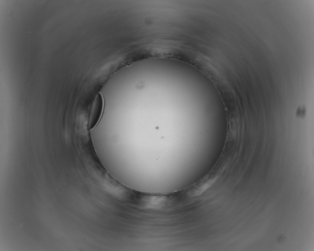 X0000091880575200709261354