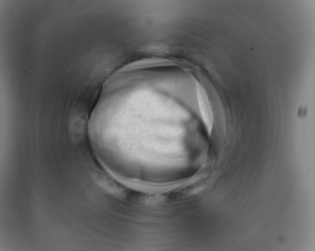 X0000091880576200709261354