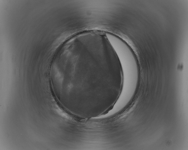 X0000091880577200709261353