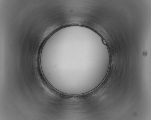 X0000091880578200709261353