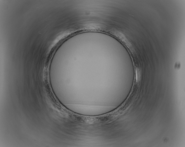 X0000091880579200709261353