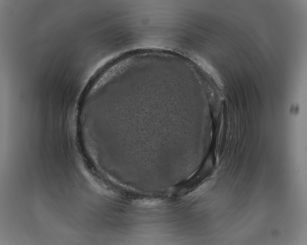 X0000091880580200709261353