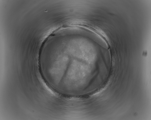 X0000091880581200709261353