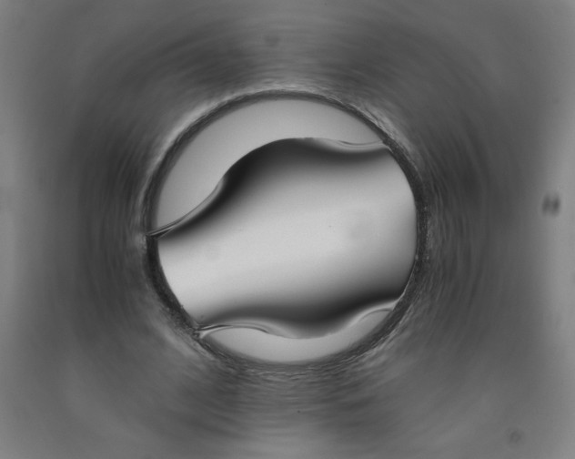 X0000091880584200709261353