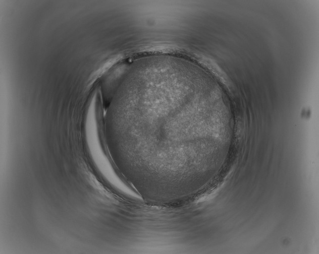 X0000091880585200709261353