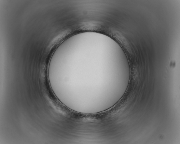 X0000091880586200709261353