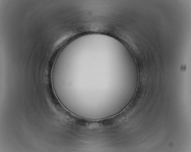 X0000091880587200709261353