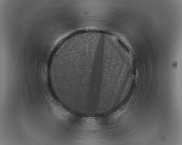 X0000091880588200709261353