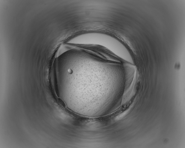 X0000091880589200709261353