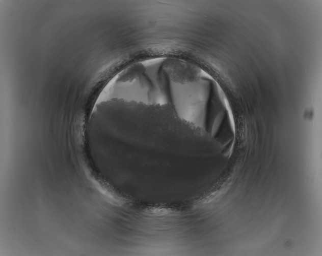 X0000091880590200709261353