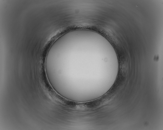 X0000091880591200709261353