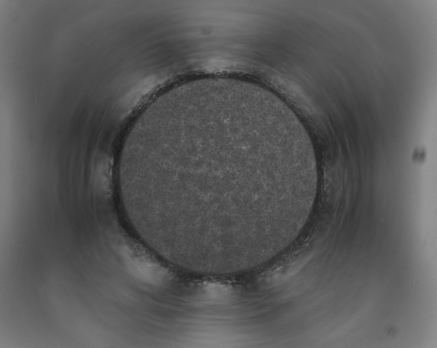 X0000091880592200709261353