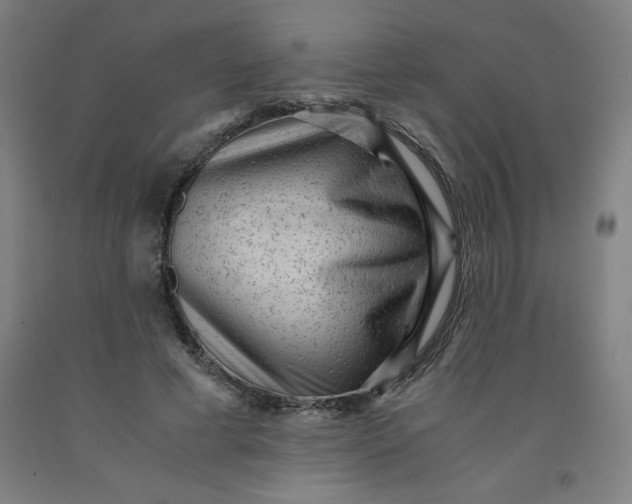 X0000091880593200709261353