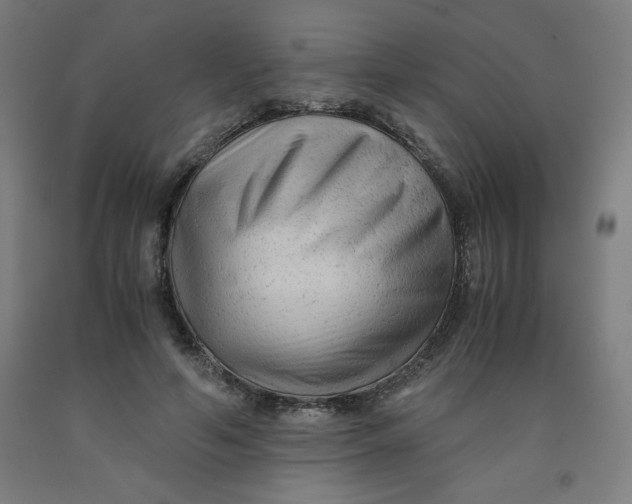 X0000091880594200709261353