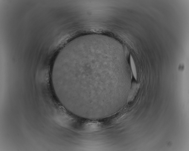 X0000091880595200709261353