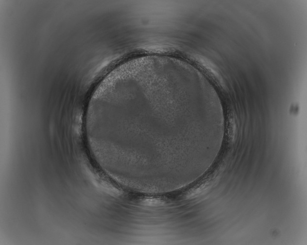 X0000091880596200709261353