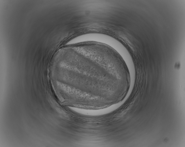 X0000091880597200709261353