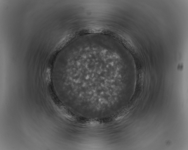 X0000091880598200709261353