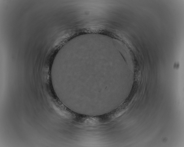 X0000091880599200709261353