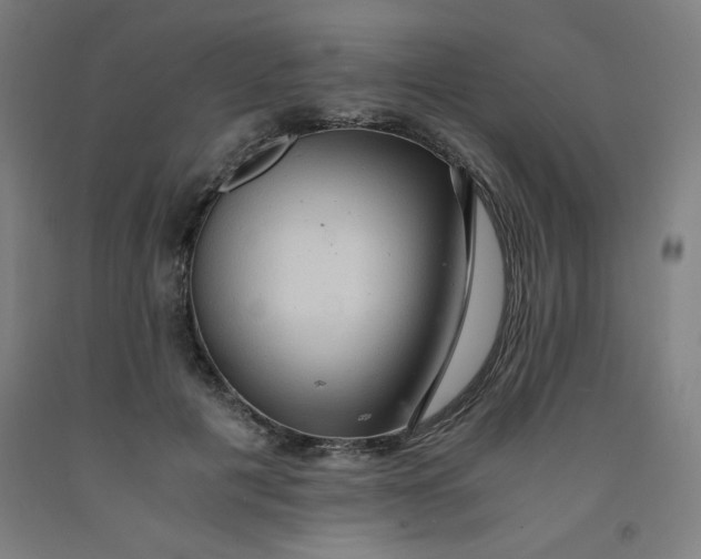 X0000091880601200709261353