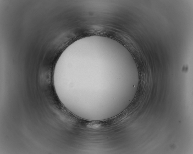 X0000091880602200709261353