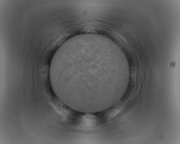 X0000091880603200709261353