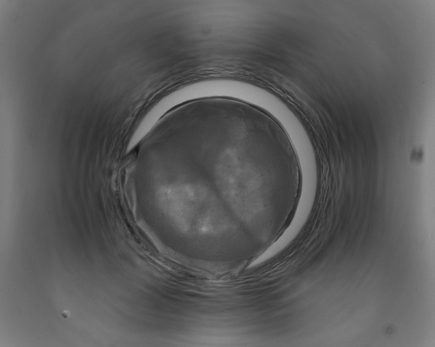 X0000091880604200709261353