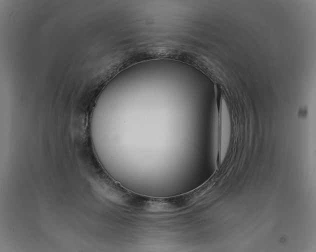 X0000091880605200709261353