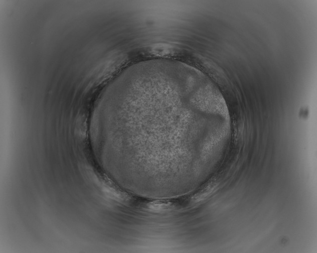 X0000091880606200709261353