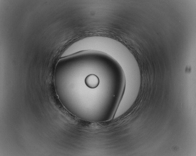 X0000091880608200709261353