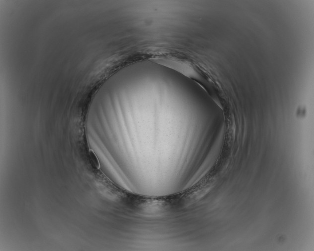 X0000091880609200709261353