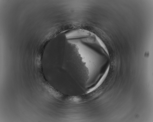 X0000091880610200709261353