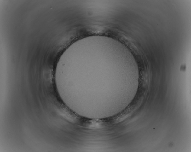 X0000091880612200709261353