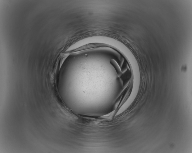 X0000091880613200709261353