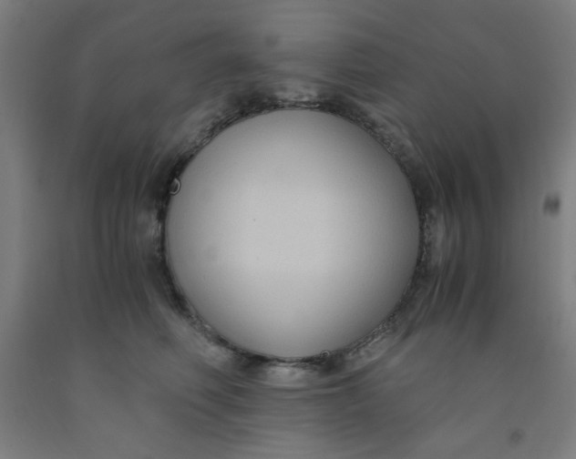 X0000091880614200709261352