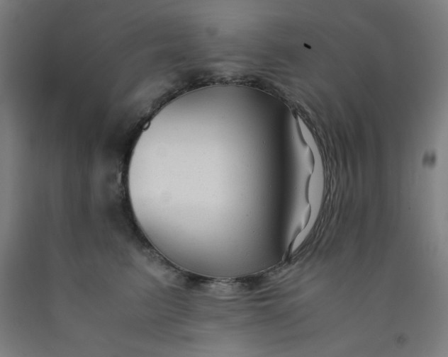 X0000091880615200709261352