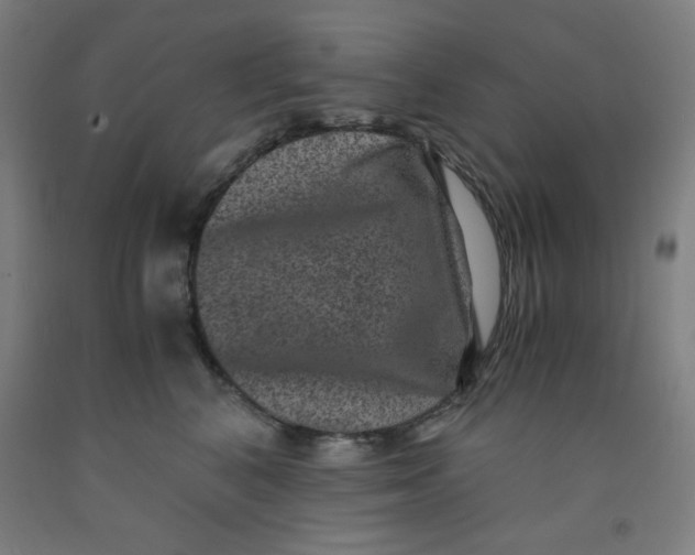 X0000091880616200709261352