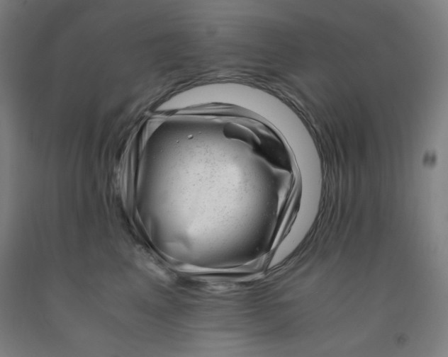 X0000091880617200709261352